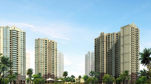 XG后“候鳥”老人如何在海口買房子？
