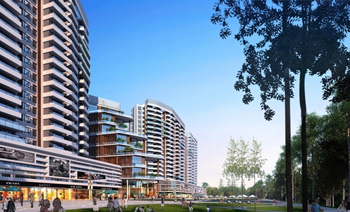 新月南海嘉園海景房紙得買嗎？