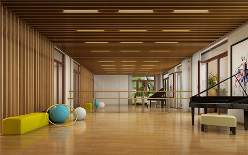為什么“候鳥”都來海口養老
