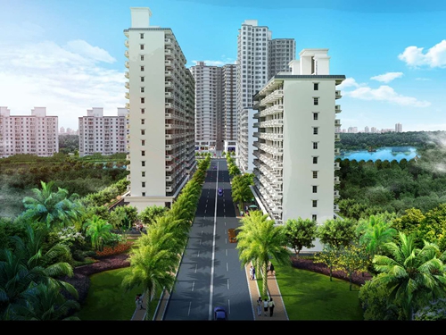 海口濱江世紀(jì)佳城醉新情況~